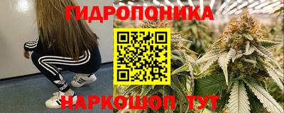 spice Гусиноозёрск