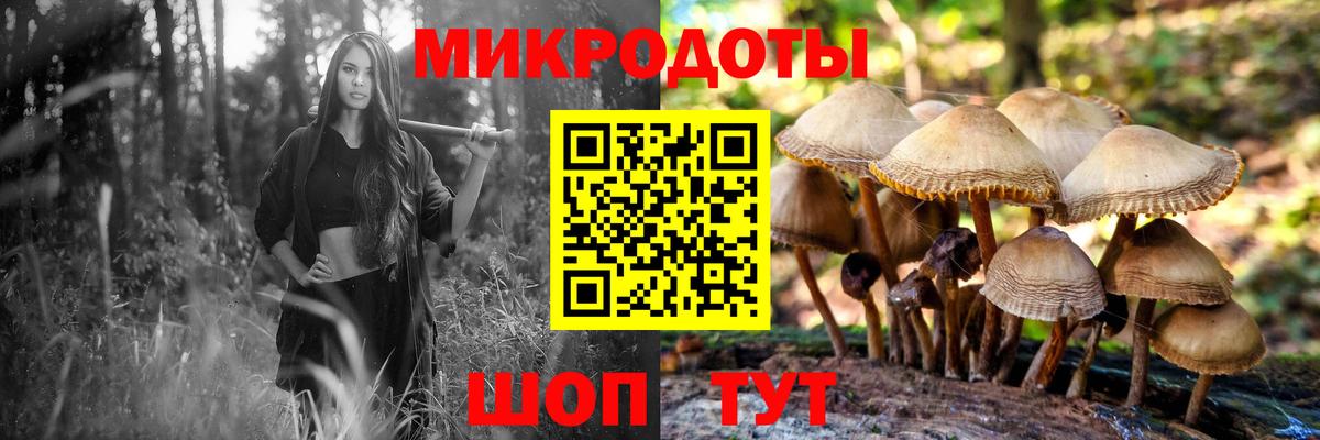 Галлюциногенные грибы MAGIC MUSHROOMS Муравленко