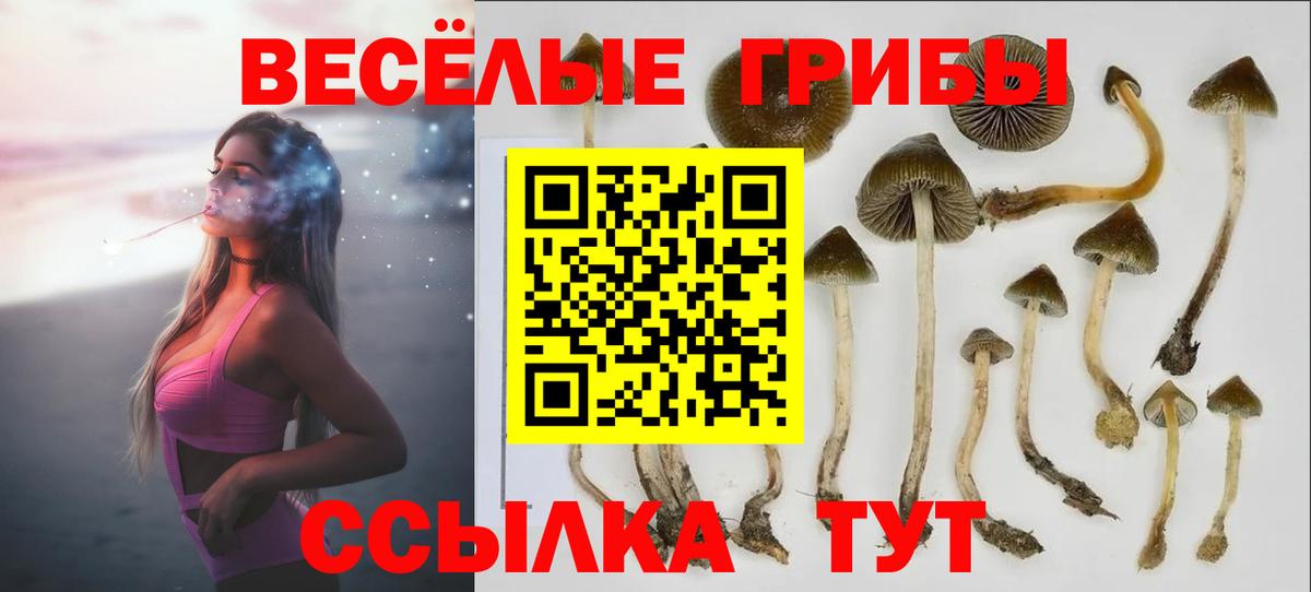 Галлюциногенные грибы Psilocybine cubensis  Вход с VPN  Муравленко 